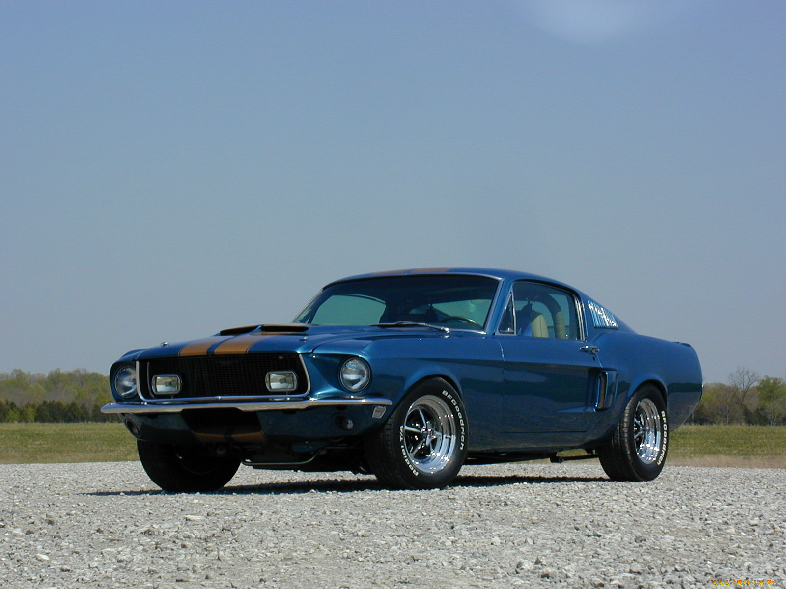 , mustang, slawson